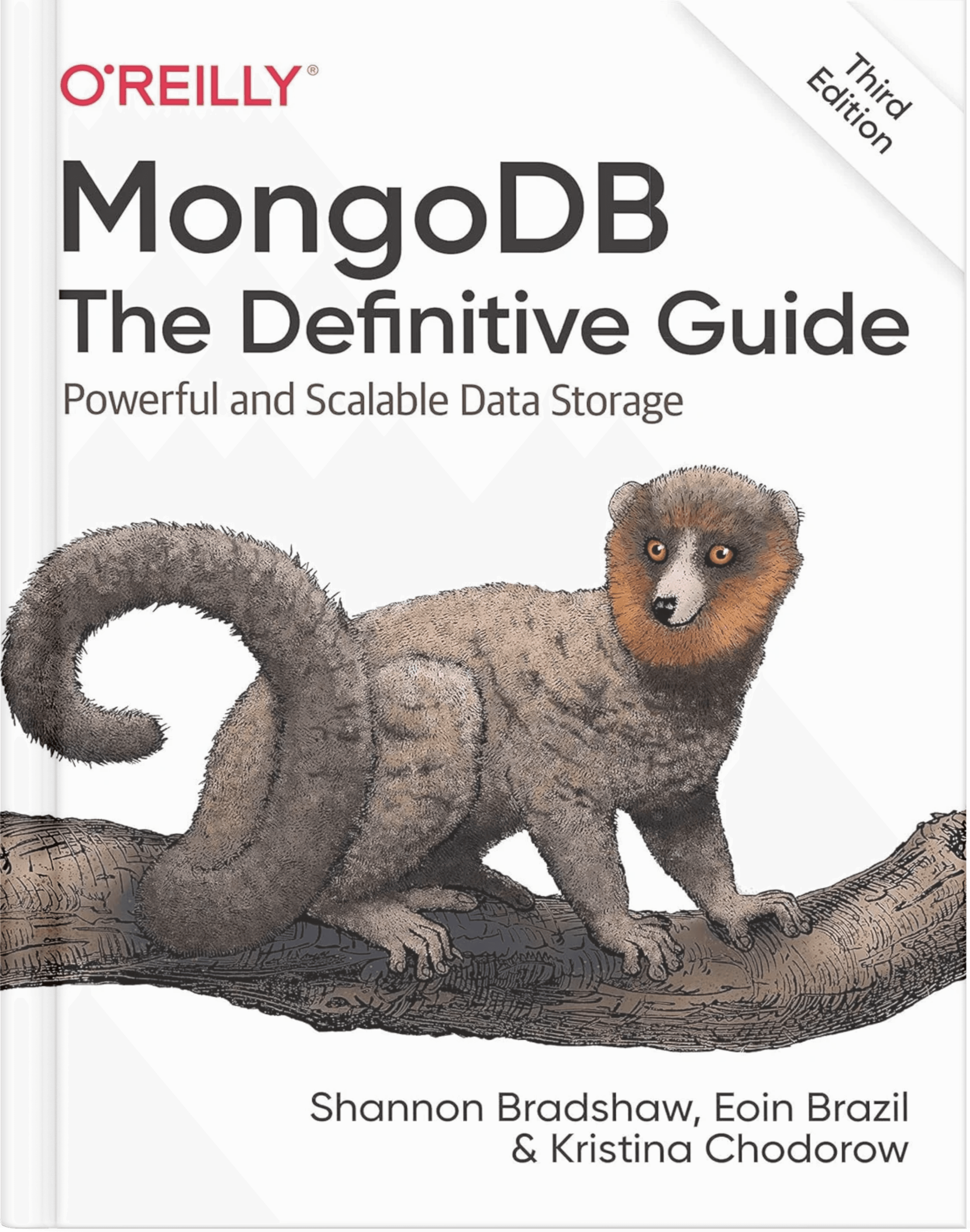 MongoDB: The Definitive Guide: Powerful and Scalable Data Storage thumbnail